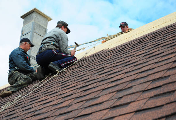 Best Gutter Installation and Roofing  in Poteet, TX